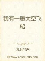 我有一艘太空飞船